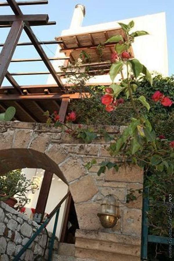 Traditional Studio Skyros Exteriör bild